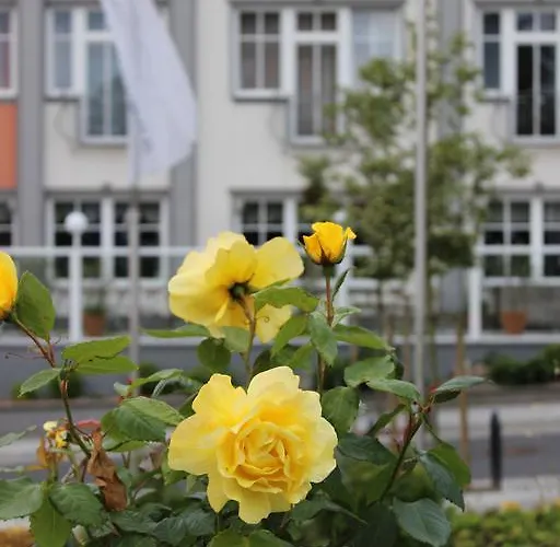 Subklew Sellin (Rugen)